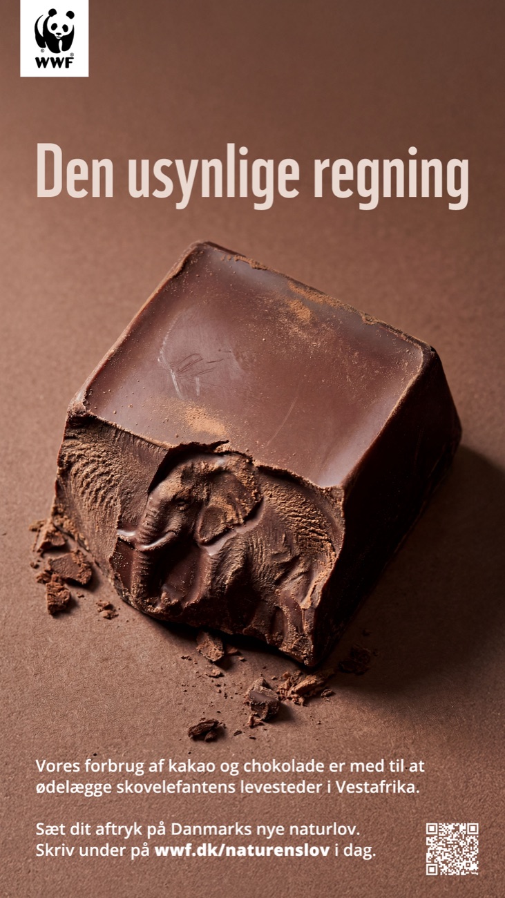 Den usynlige regning, chokolade og skovelefant (WWF Danmark)