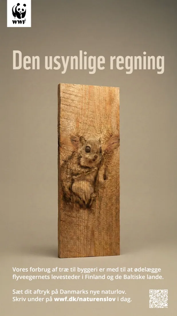 Den usynlige regning, træ og flyveegern (WWF Danmark)